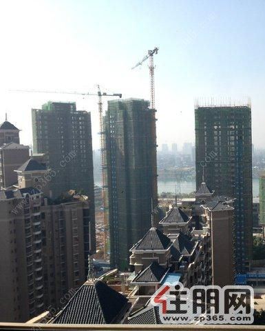 文源华都2000元1室1厅1卫中装