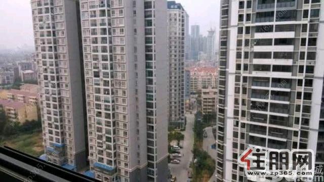 南亚名邸海馨嘉园心怡园精装两房拎包即住