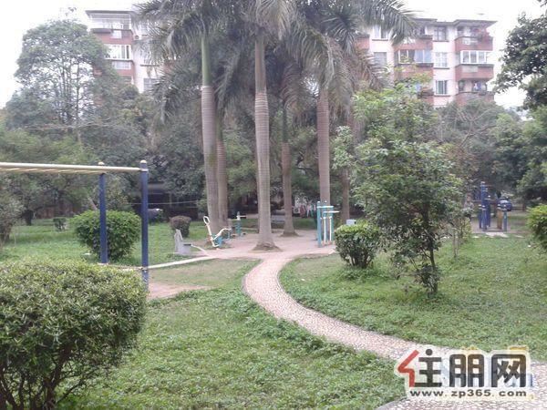 地宝小区15平米空铺出租,个人无中介费。