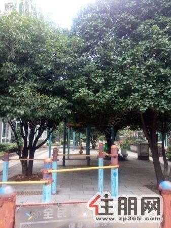 三丰名园大三房全新装修全新家具2000/