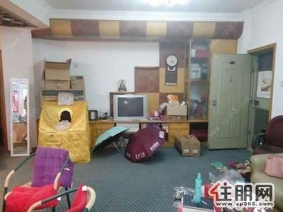 青秀区-东葛望园路口精装1房1厅家电配齐拎包入住