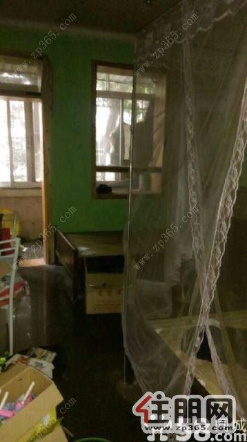 区粮食局宿舍1200元2室1厅1卫