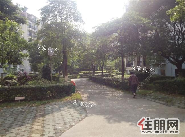 国际新城1300元3室2厅1卫中装