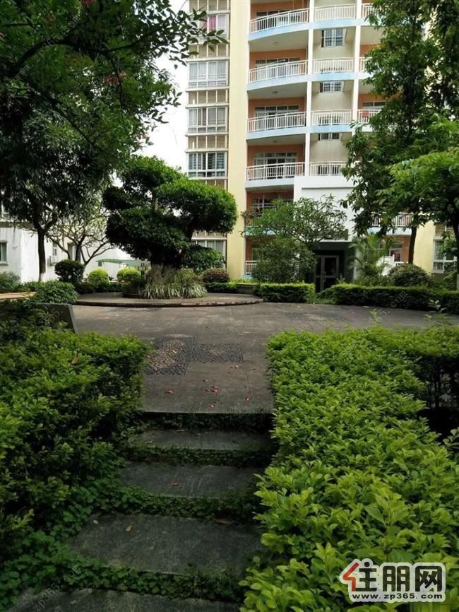 盛世名门3房2厅,南北通透。采光好