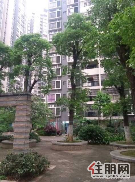 胜利小区中6区3室2厅113平米精装修出