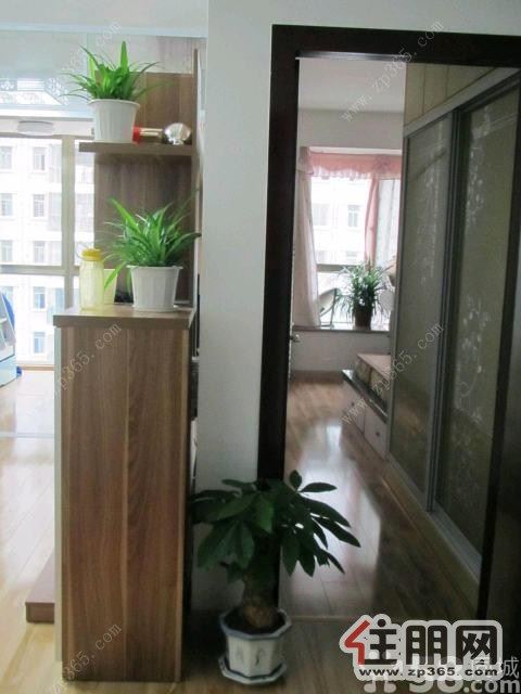 城中龙城世家2室1厅65平米豪华装修押二