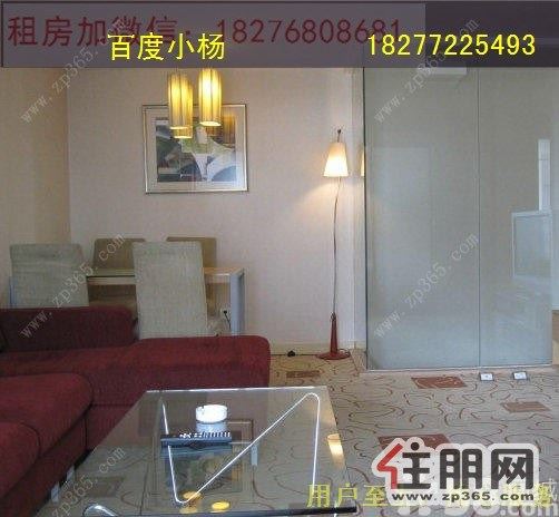 城中城中五星街附近2室1厅89平米可拎包