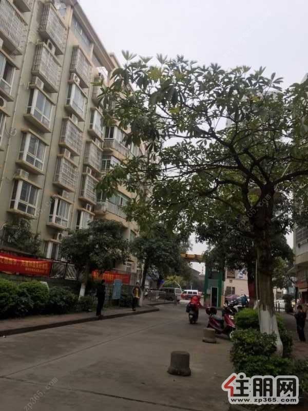 多功能用房,可住房,车库,仓库!