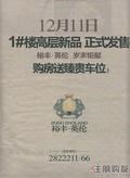 广告欣赏