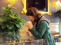 升禾·绿城世界看房团活动(11.27)