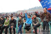 业主正在进行激烈竞拍(11.27)
