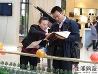 现场咨询(12.11)