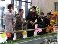 介绍项目情况(12.11)