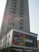 尚上园11月29日实景图