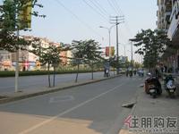 尚上园11月29日周边路况