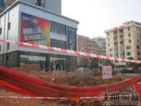 尚上园11月29日实景图