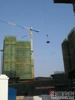 2010.11.26 实景图
