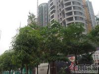 云星·钱隆天下最新工程进度(12.12)