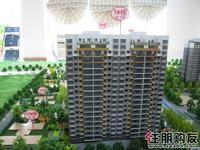 凤岭名园最新实景图(12.14)