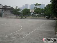 云星·钱隆江南实景图
