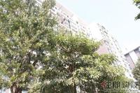 2010.11.6 骊都实景图