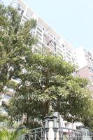 2010.11.6 骊都实景图