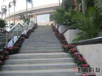 升禾·绿城世界实景图(12.18)