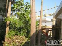 升禾·绿城世界实景图(12.18)