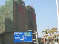 升禾·绿城世界实景图(12.18)