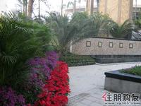 12.18  最新实景图