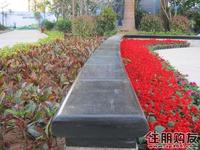 12.18  最新实景图