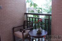 瑞和家园A1户型样板间(12.17)