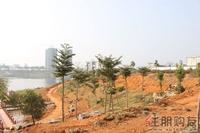 2010.11.6 水岸华府周边环境