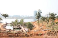 2010.11.6 水岸华府周边环境