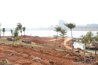 2010.11.6 水岸华府周边环境