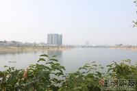 2010.11.6 水岸华府周边环境