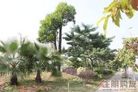 2010.11.6 水岸华府周边环境