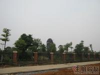 融晟·公园大地实景图