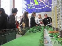 启美新城12月25日看房团