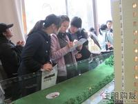 启美新城12月25日看房团