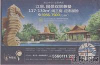 邕江明珠2010年11月11日广告欣赏