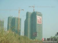 2010.11.6 实景图