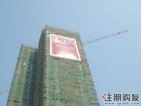 2010.11.6  实景图