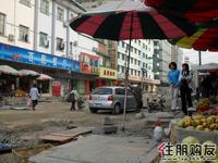 2010.11.03 天成一品实景图