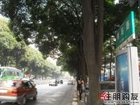 2010.11.03 天成一品实景图
