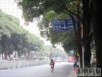 2010.11.03 天成一品实景图
