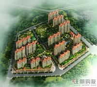 鸟瞰图1115