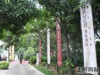 广源国际社区实景图(11.27)