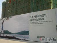 振业·青秀山1号广告欣赏(11.26)