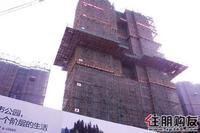 2010年11月11日青山1号实景图